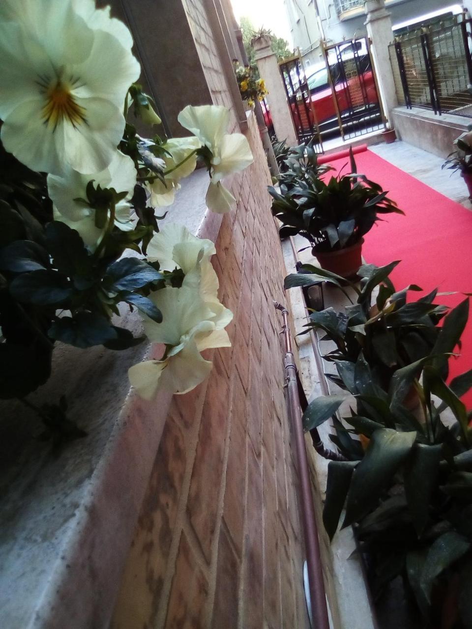 Bed and Breakfast Officina Urban Sleep San Benedetto del Tronto Exterior foto